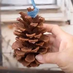 Say goodbye to puffy feet with these natural and effective tips for relief express