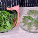 Perfect homemade sponge cake (without baking powder)