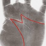 Homemade Croissant Dough