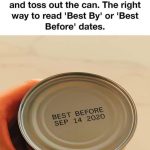 If you have this leaf in your house you actually have gold but you don’t know..