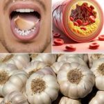 Never Throw Away Egg Cartons Again – They’re Like Gold for Your Plants!