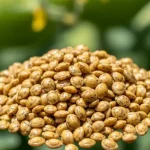 Chosen by Love: How Consistency Built Our Father-Daughter Bond