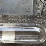 Effective Ways to Repel Pests Using Garlic: Mice, Flies, Lice, Cockroaches, Lizards, Mosquitoes