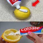 How to Remove Bleach Stains from Fabrics with 2 Tricks