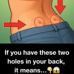 4-Ingredient Quick Lemon Sorbet (Ready in 3 Minutes!)