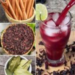 Fragrance Your Home Naturally: A Guide to Growing Cloves from Seeds