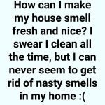 Difference Between Field Corn And Sweet Corn