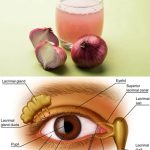 How to Keep Supermarket Basil Alive and Thriving