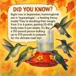 The Hidden Meaning of the “M” on Your Palm: What It Says About Men and Women