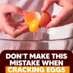 2-Ingredient Chocolate Hazelnut Cups (No Bake!)