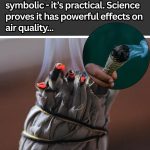 It’s a pity that you don’t know this method of growing sweet potatoes in pallets. Very many tubers