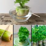 How Rinsing Ground Beef Affects Your Health