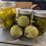 Most do this wrong. Here’s how often to wash overlooked laundry