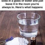 I Regret Not Planting Pepper Seeds This Way Sooner—They Sprout Like Crazy!