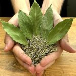 How To Restore Burnt And Stained Baking Sheets