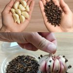 Just 1 Spoon Makes the Lemon Tree Overflow with Fruit (Lemons All Year Round)