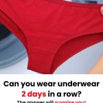 Why Do We See “WC” and Toilet Icons Everywhere?