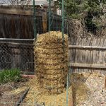 Oregano and Digestive Health: How This Herb Supports Your Stomach