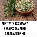 Moringa: Nature’s Remedy for 70 Ailments and a Step Towards Longevity