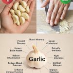 Cucumber Tomato Salad for Canning