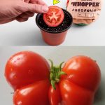 The most powerful insecticide against mosquitoes is in the kitchen: you make them disappear at no cost