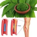 Had no clue about this