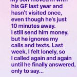 Pickled Cherry Tomatoes, Red Onions, and Cucumbers