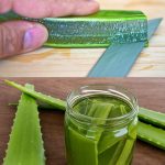 Signs that a deceased loved one visited you