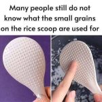 Using Vicks VapoRub for Pest Control