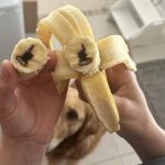 Grounding with Trees: How Barefoot Earthing and Tree Energy Can Restore Balance