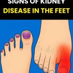 Air Fryer Poached Eggs: A Quick, Mess-Free Alternative