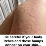 Can You Spot the Identical Sticky Buns? Test Your Eyes and Your Personality