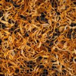 I thought crocs were harmless… but what I discovered about them sh0cked me