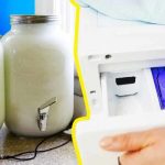 I thought crocs were harmless… but what I discovered about them sh0cked me