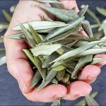 The Natural Way to Support Knee and Hip Cartilage