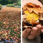 Stop blaming the water: This is the real reason you wake up at 2 a.m.