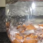 Easy Clove Growing: Seed to Spice