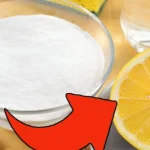 Round Zucchini Stuffed with Rice