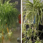 Pick a Nail & Ring Combo to Discover What Type of Woman You Are