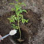 Pick a Nail & Ring Combo to Discover What Type of Woman You Are