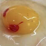 Boiling Orange Peels and Cloves: Our Grandmothers’ Ancient Habit