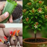 7 reasons genuinely nice people often end up with no close friends, according to psychology