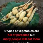 The Ultimate Guide to Composting: Transforming Waste into Garden Gold