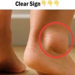 6 things in the house that reveal a messy woman: if she doesn’t care about these things, she doesn’t care about herself either.