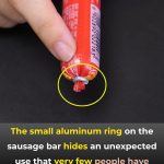 If You Love Napping During the Day, This Is for You!