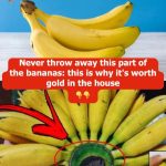 15 Simple And Sweet Spring Centerpiece Ideas For Your Table