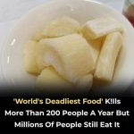 Just hang a handful of these leaves in front of your door – flies and mosquitoes will disappear