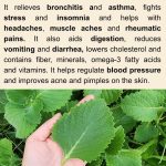 This Should Make a Comeback