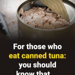 Instead of Polluting the Planet with Confetti… Hole-Punch Leaves Instead