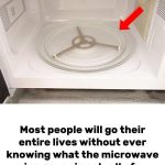 Doctors reveals that eating raw tomatoes causes in